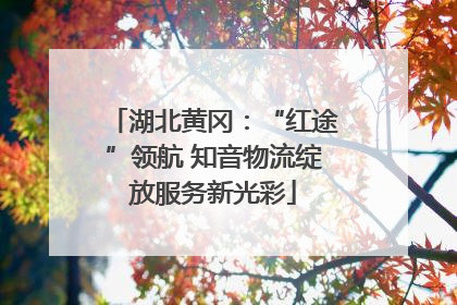湖北黄冈：“红途”领航 知音物流绽放服务新光彩