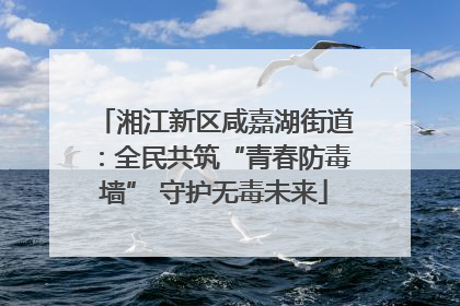 湘江新区咸嘉湖街道：全民共筑“青春防毒墙” 守护无毒未来