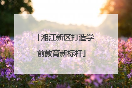 湘江新区打造学前教育新标杆