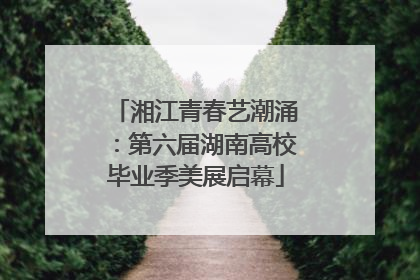 湘江青春艺潮涌：第六届湖南高校毕业季美展启幕