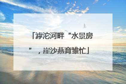 滹沱河畔“水景房”，崖沙燕育雏忙