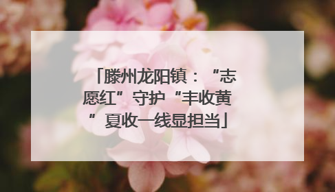 滕州龙阳镇：“志愿红”守护“丰收黄”夏收一线显担当