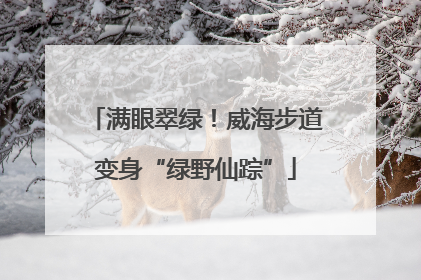 满眼翠绿！威海步道变身“绿野仙踪”