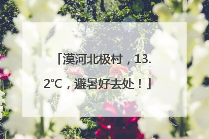 漠河北极村，13.2℃，避暑好去处！
