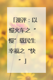 漫评：以慢火车之“慢”载民生幸福之“快”
