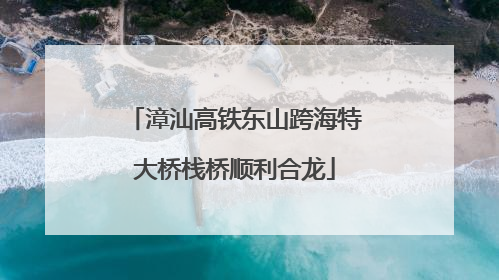 漳汕高铁东山跨海特大桥栈桥顺利合龙