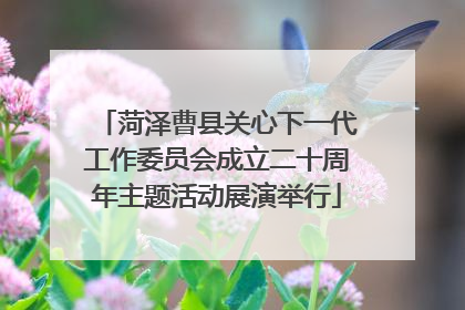菏泽曹县关心下一代工作委员会成立二十周年主题活动展演举行
