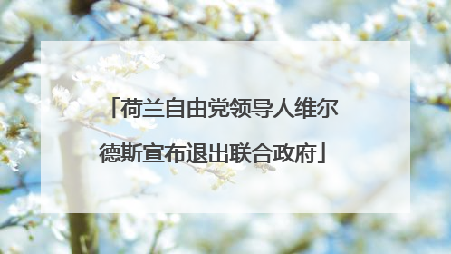 荷兰自由党领导人维尔德斯宣布退出联合政府