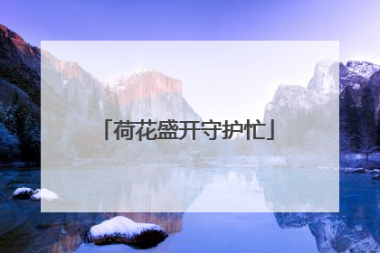 荷花盛开守护忙