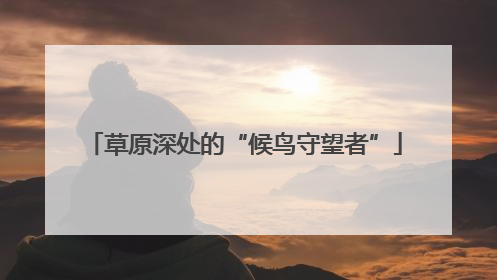 草原深处的“候鸟守望者”