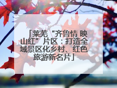 莱芜“齐鲁情 映山红”片区：打造全域景区化乡村、红色旅游新名片
