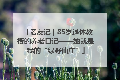 老友记｜85岁退休教授的养老日记——她就是我的“绿野仙庄”