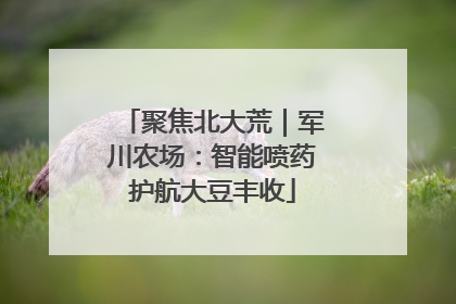 聚焦北大荒｜军川农场：智能喷药护航大豆丰收