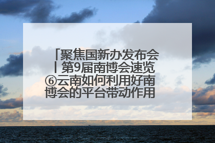 聚焦国新办发布会丨第9届南博会速览⑥云南如何利用好南博会的平台带动作用，深化与南亚国家的交流与合作？