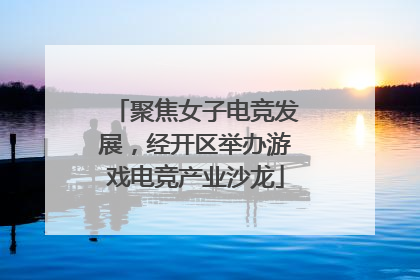 聚焦女子电竞发展，经开区举办游戏电竞产业沙龙