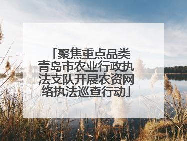 聚焦重点品类 青岛市农业行政执法支队开展农资网络执法巡查行动