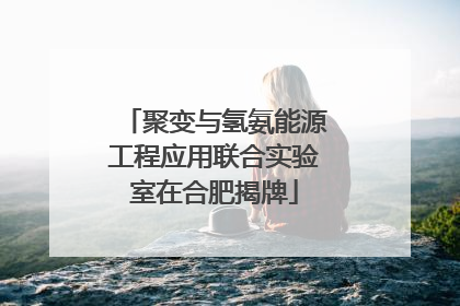 聚变与氢氨能源工程应用联合实验室在合肥揭牌