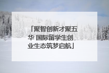 聚智创新才聚五华 国际留学生创业生态筑梦启航