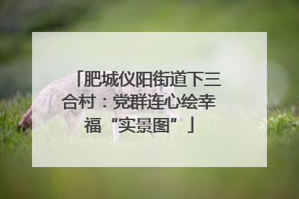 肥城仪阳街道下三合村：党群连心绘幸福“实景图”