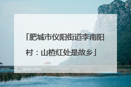 肥城市仪阳街道李南阳村：山楂红处是故乡