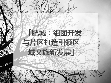 肥城：组团开发与片区打造引领区域文旅新发展