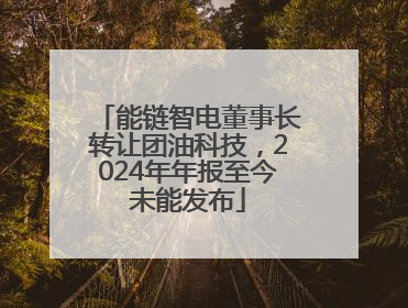 能链智电董事长转让团油科技，2024年年报至今未能发布