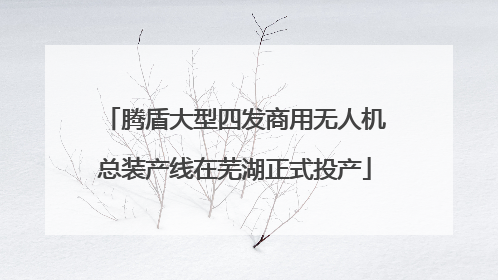 腾盾大型四发商用无人机总装产线在芜湖正式投产