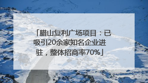 腊山复利广场项目：已吸引20余家知名企业进驻，整体招商率70%