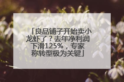 良品铺子开始卖小龙虾了？去年净利润下滑125%，专家称转型极为关键