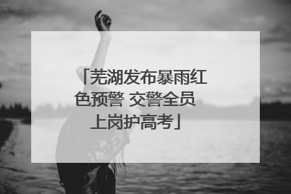芜湖发布暴雨红色预警 交警全员上岗护高考
