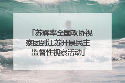 苏辉率全国政协视察团到江苏开展民主监督性视察活动