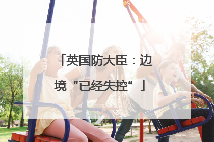 英国防大臣：边境“已经失控”