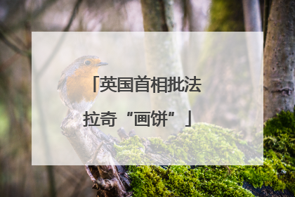 英国首相批法拉奇“画饼”