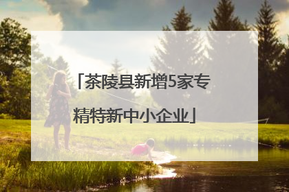茶陵县新增5家专精特新中小企业