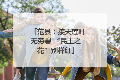 范县：接天莲叶无穷碧 “民主之花”别样红