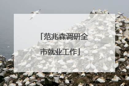 范兆森调研全市就业工作