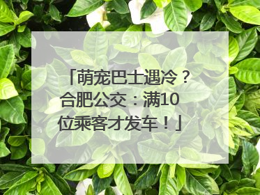 萌宠巴士遇冷？合肥公交：满10位乘客才发车！
