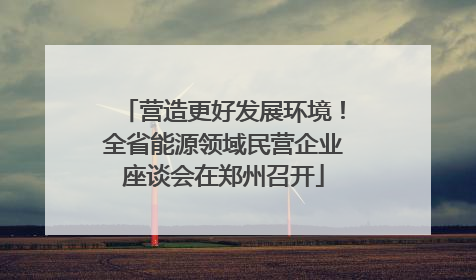 营造更好发展环境！全省能源领域民营企业座谈会在郑州召开