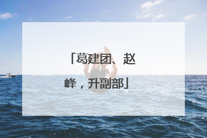 葛建团、赵峰，升副部