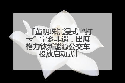 董明珠沉浸式“打卡”宁乡非遗，出席格力钛新能源公交车投放启动式