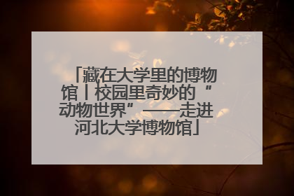 藏在大学里的博物馆丨校园里奇妙的“动物世界”——走进河北大学博物馆