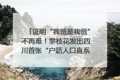 证明“我爸是我爸”不再难！攀枝花发出四川首张“户籍人口直系亲属关系谱”