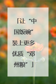 让“中国饭碗”装上更多优质“邓州粮”