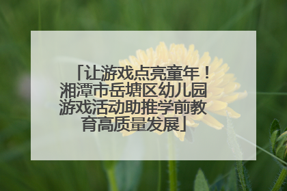 让游戏点亮童年！湘潭市岳塘区幼儿园游戏活动助推学前教育高质量发展