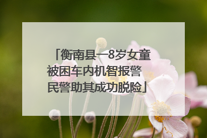 衡南县一8岁女童被困车内机智报警 民警助其成功脱险