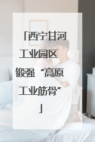 西宁甘河工业园区 锻强“高原工业筋骨”