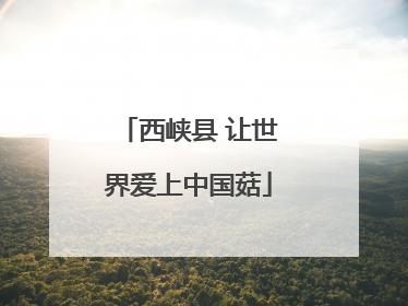 西峡县 让世界爱上中国菇