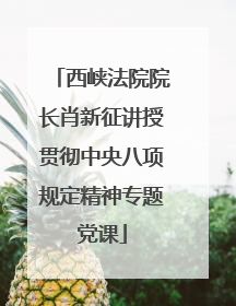 西峡法院院长肖新征讲授贯彻中央八项规定精神专题党课