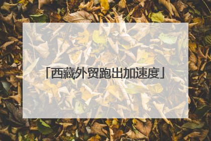 西藏外贸跑出加速度