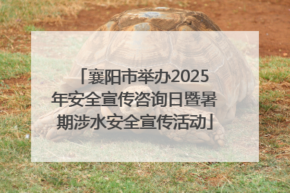 襄阳市举办2025年安全宣传咨询日暨暑期涉水安全宣传活动